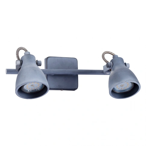 Спот Arte Lamp GOTTO A9189AP-2GY фото 1