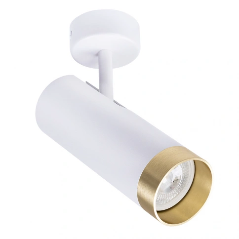 Спот Arte Lamp TOPIC A2357PL-1WH фото 1
