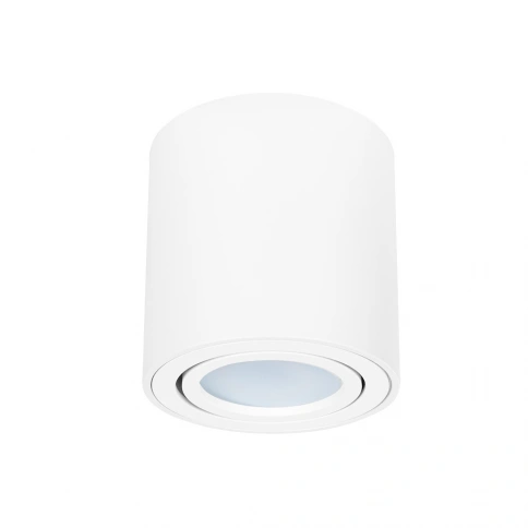 Точечный накладной светильник Arte Lamp BEID A1513PL-1WH фото 1