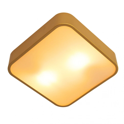 Потолочный светильник Arte Lamp COSMOPOLITAN A7210PL-2GO фото 1