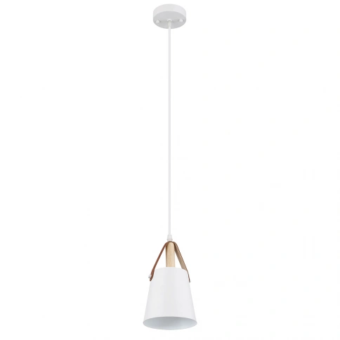 Подвесной светильник Arte Lamp THOMAS A7032SP-1WH фото 1