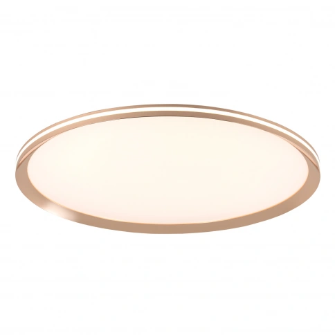 Потолочный cветильник LED4U L3020-600 GD фото 1