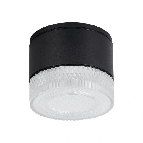 Уличный потолочный светильник Arte Lamp PIAUTOS A1926PF-1BK фото 1