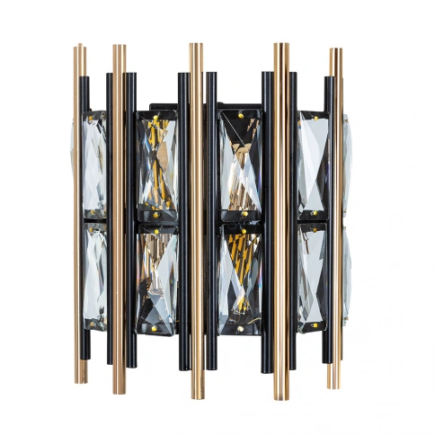 Настенный светильник Arte Lamp ALRUBA A1043AP-2BK фото 1