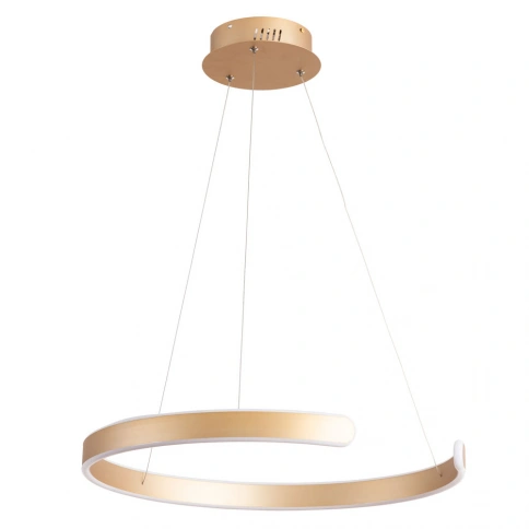 Подвесная люстра Arte Lamp HELIOS A4050SP-1SG фото 1