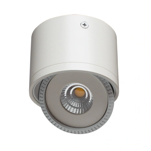 Точечный накладной светильник Arte Lamp STUDIO A4105PL-1WH фото 1