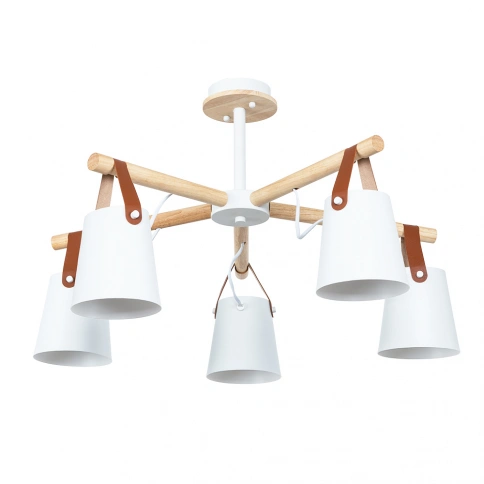 Потолочная люстра Arte Lamp THOMAS A7032PL-5WH фото 1