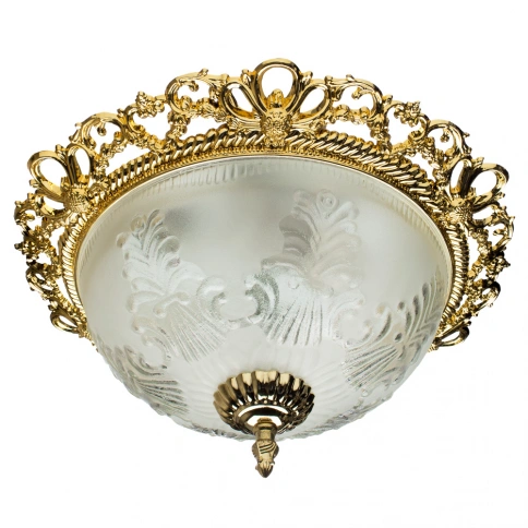 Потолочный светильник Arte Lamp PIATTI A8002PL-2GO фото 1