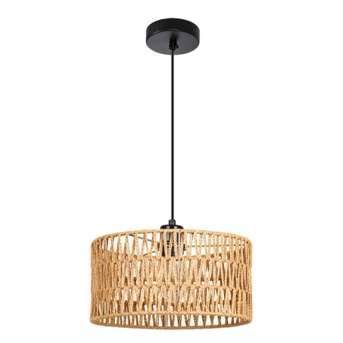 Подвесной светильник Arte Lamp BRUSHWOOD A7088SP-1BK фото 1