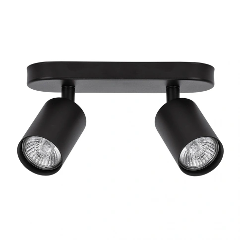 Спот Arte Lamp AQUARIUS A3226PL-2BK фото 1