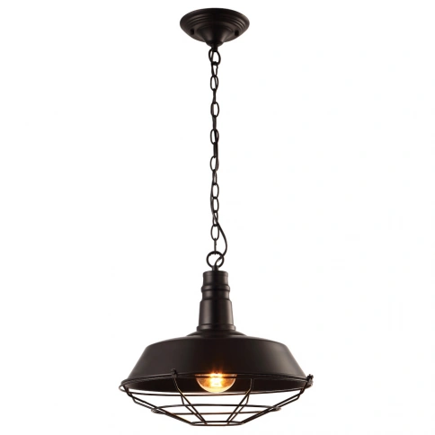 Подвесной светильник Arte Lamp PANDORA A9183SP-1BK фото 1