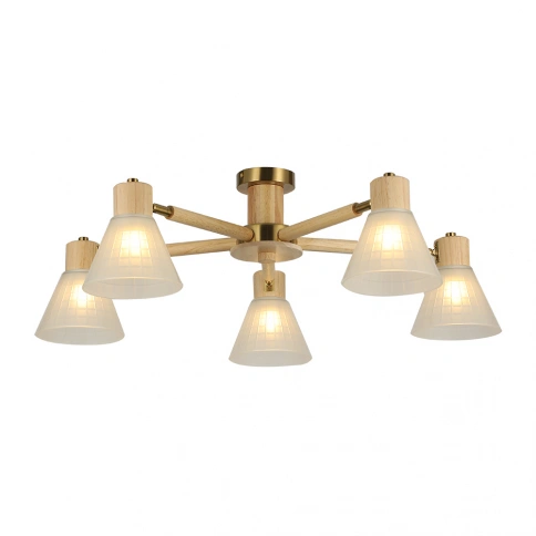 Потолочная люстра Arte lamp MELEPH A4096PL-5BR фото 1