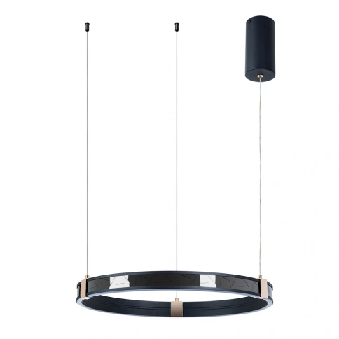 Подвесная люстра Arte Lamp SHINE A2222SP-1BK фото 1