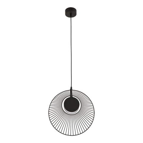 Подвесной светильник Arte Lamp LAYLA A2808SP-1BK фото 1