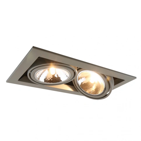 Карданный светильник Arte Lamp CARDANI SEMPLICE A5949PL-2GY фото 1