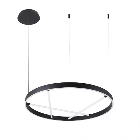 Подвесная люстра Arte lamp RICCO A1874SP-32BK фото 1