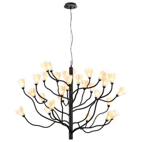 5090/30 MODERN ODL25 561 черный матовый/белый/фарфор Люстра G4 LED 30*5W GARDI фото 4