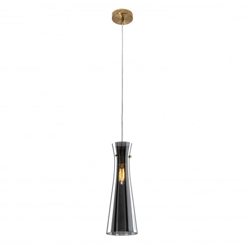 Подвесной светильник MODEMODERN MD.1175.1 SM фото 1