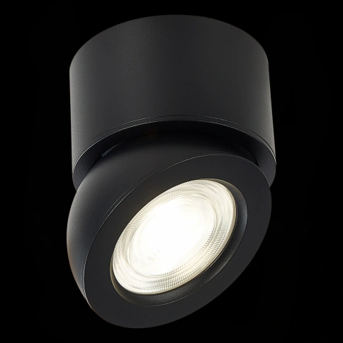 ST654.442.10 Светильник потолочный Черный LED 1*10W 4000K 850Lm Ra>90 38° IP20 D95xH96 180-240V фото 1
