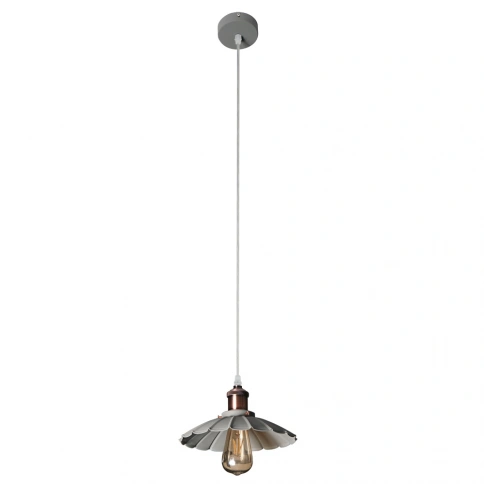 Подвесной светильник Arte Lamp ASTI A8160SP-1GY фото 1