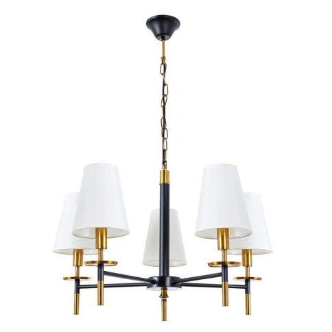Подвесная люстра Arte Lamp RICCARDO A4075LM-5BK фото 1