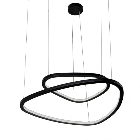 Подвесная люстра Arte Lamp MADISON A2194SP-2BK фото 1