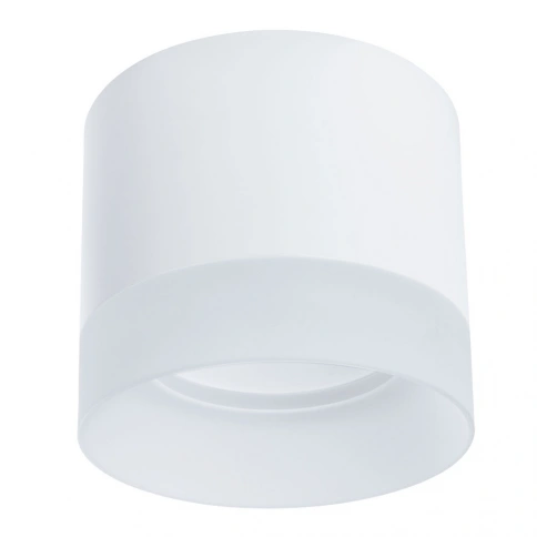 Точечный накладной светильник Arte Lamp CASTOR A5554PL-1WH фото 1