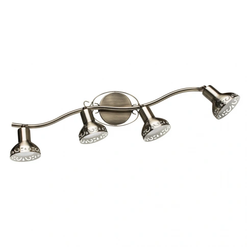 Спот Arte Lamp FOCUS A5219PL-4AB фото 1