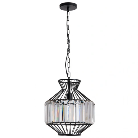 Подвесной светильник Arte Lamp CASSEL A1789SP-1BK фото 1