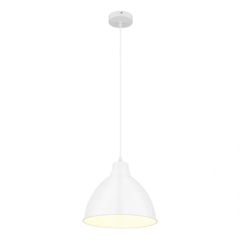 Подвесной светильник Arte Lamp BRACCIO A2055SP-1WH фото 1