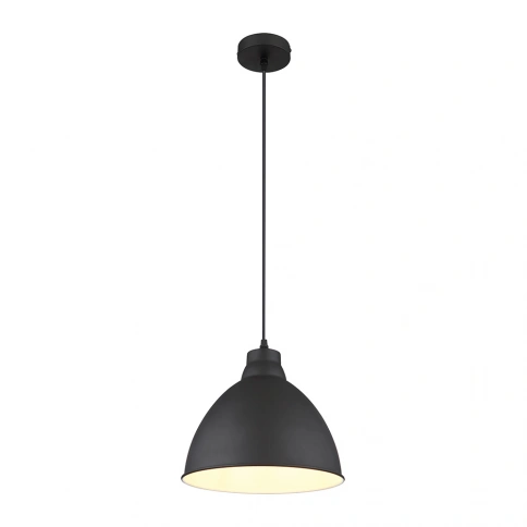 Подвесной светильник Arte Lamp BRACCIO A2055SP-1BK фото 1