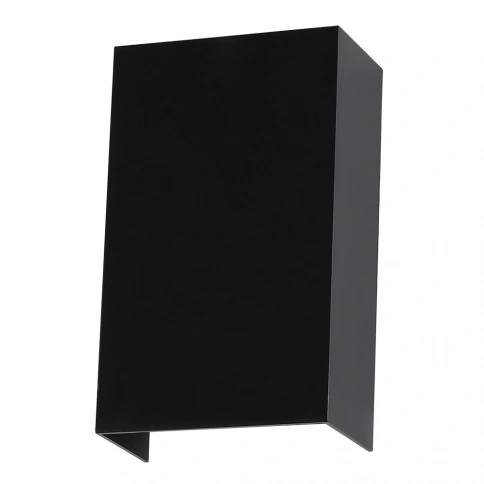 Фасадный светильник Arte Lamp ALGOL A5640AL-2BK фото 1