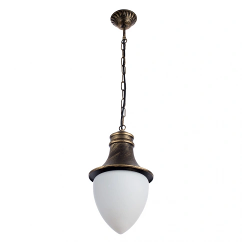 Уличный подвесной светильник Arte Lamp VIENNA A1317SO-1BN фото 1