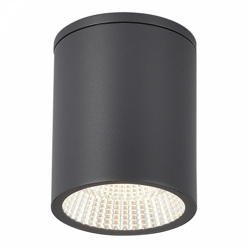 SL9514.712.01 Светильник уличный потолочный ST-Luce серый/белый LED 1*12W 3000K/4000K/6500K фото 1