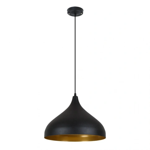 Подвесной светильник Arte Lamp CARMEL A7076SP-1BK фото 1