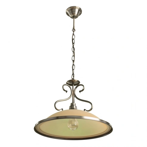 Подвесной светильник Arte Lamp SAFARI A6905SP-1AB фото 1