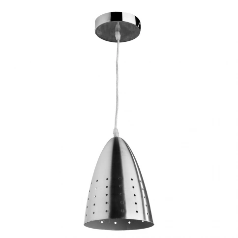 Подвесной светильник Arte Lamp LUCIDO A4081SP-1SS фото 1