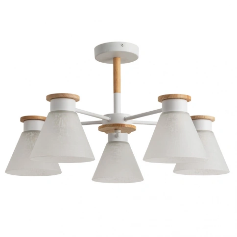 Потолочная люстра Arte Lamp TYLER A1031PL-5WH фото 1
