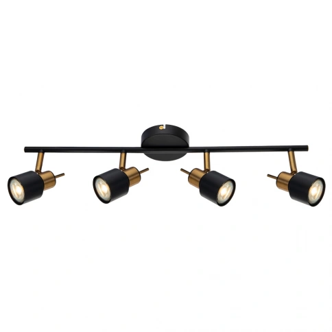 Спот Arte Lamp ALMACH A1906PL-4BK фото 1