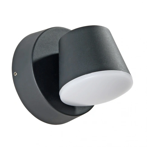 Уличный настенный светильник Arte Lamp CHICO A2212AL-1BK фото 1