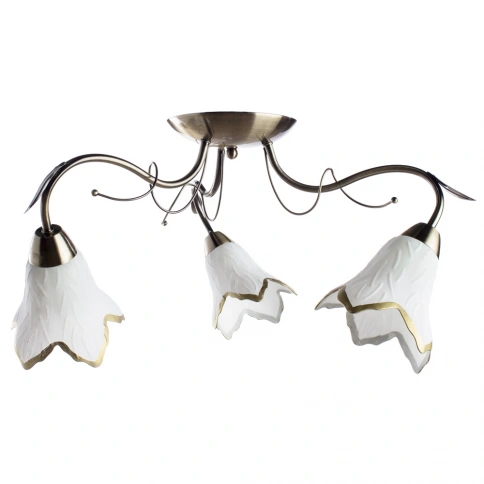 Потолочная люстра Arte Lamp BARBARA A6066PL-3AB фото 1