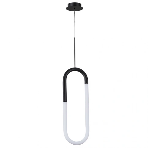 Подвесной светильник Arte lamp LUMINO A2233SP-20BK фото 1
