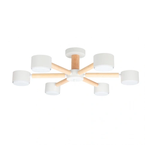 Потолочная люстра Arte Lamp TENDA A1624PL-6WH фото 1