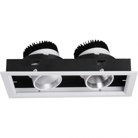 Карданный светильник Arte Lamp CARDANI A1712PL-2WH фото 1