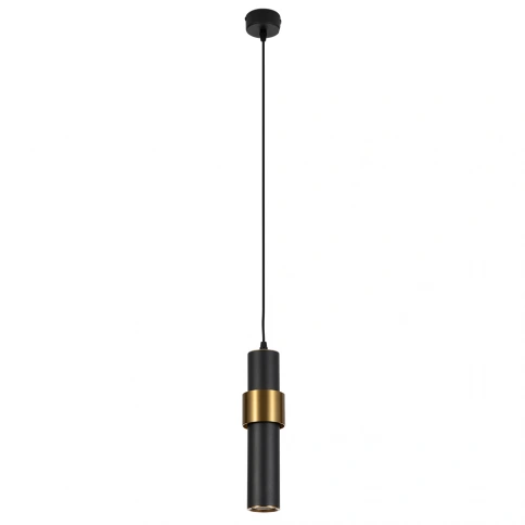 Точечный подвесной светильник ARTE LAMP RAN A3144SP-1BK фото 1
