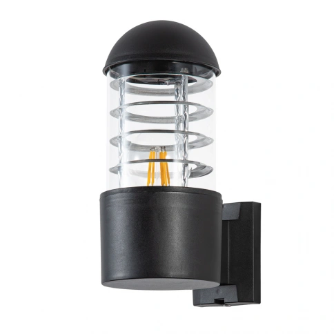 Уличный настенный светильник Arte Lamp COPPIA A5217AL-1BK фото 1