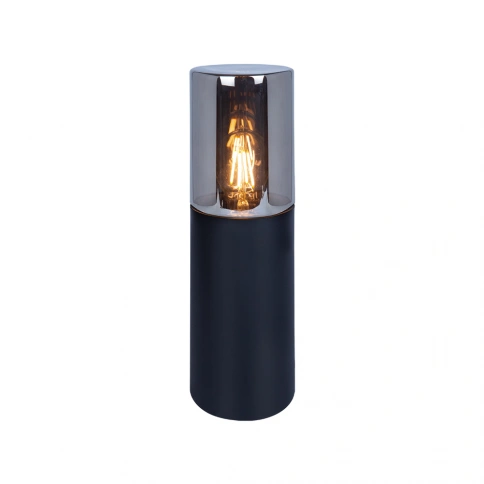 Ландшафтный светильник Arte Lamp WAZN A6218FN-1BK фото 1