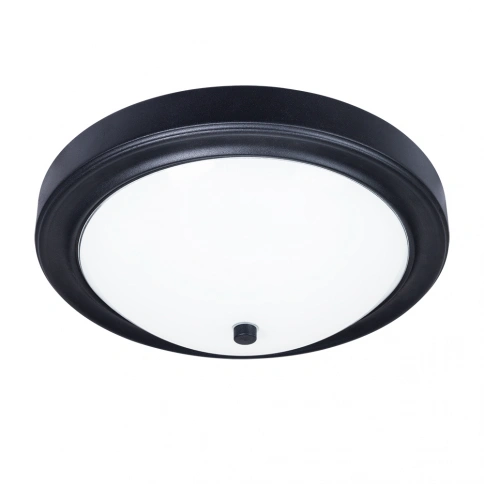 Потолочный светильник Arte Lamp JAMES A4049PL-3BK фото 1