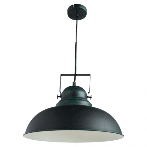 Подвесной светильник Arte Lamp MARTIN A5213SP-1BG фото 1