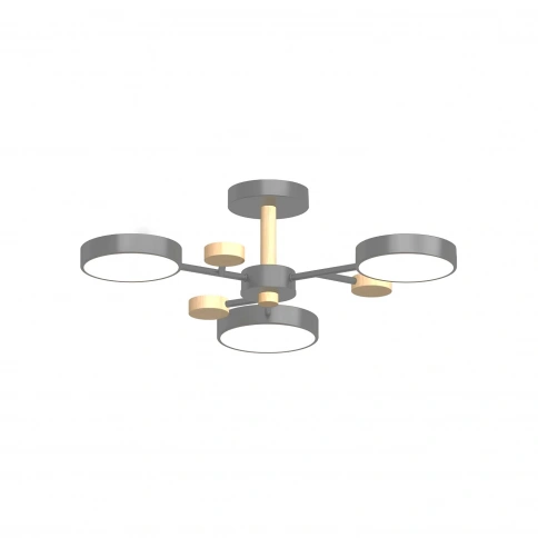 Потолочный cветильник LED4U L3203-620 GR фото 1
